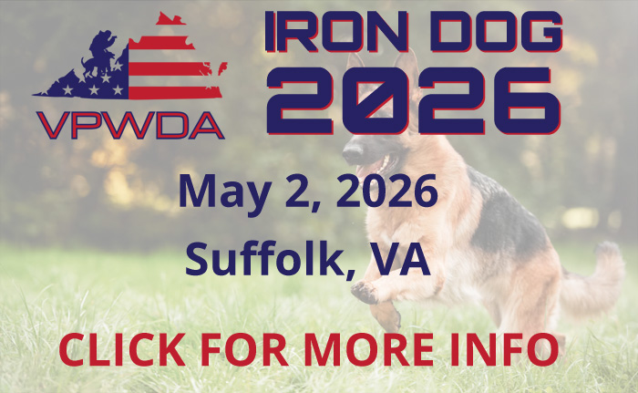 Iron Dog Competition 2026